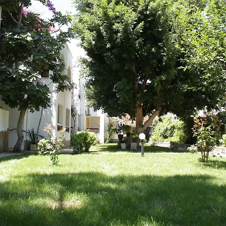 Toloman Otel