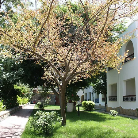 Toloman Hotel 2*