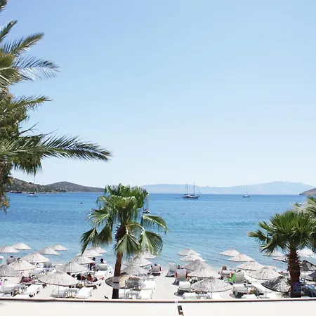 فندق Toloman بيتيس