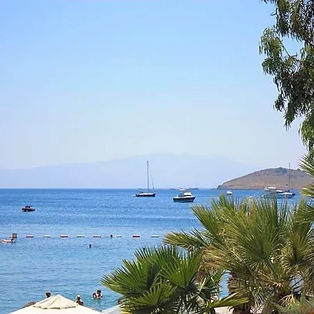 Toloman Hotel 2*