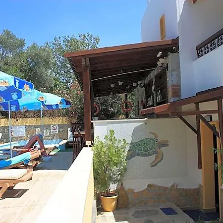 Hotel Toloman