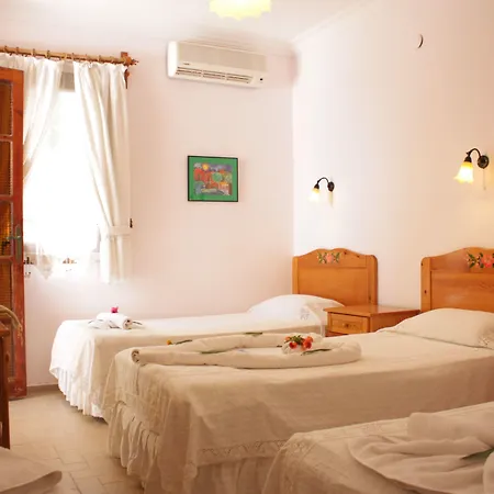 Hotel Toloman 2*