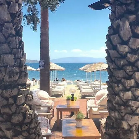 Toloman فندق بيتيس