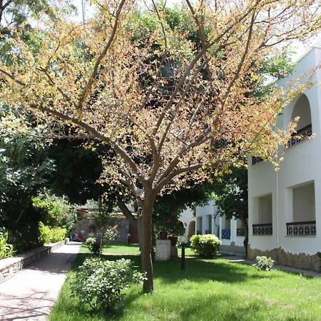 Toloman Hotel 2*