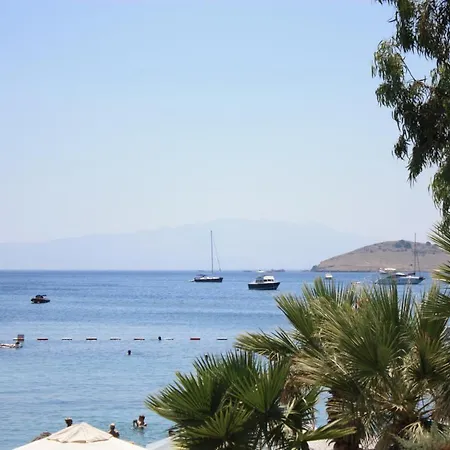 Toloman 2* بيتيس