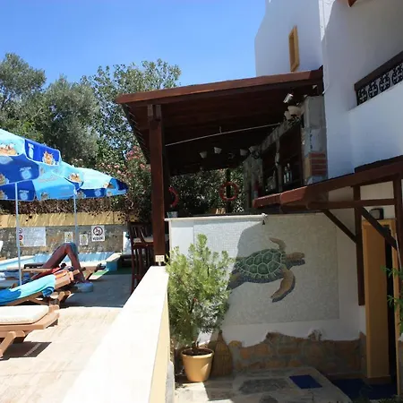 Hotel Toloman